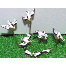 A65 8 Seagulls- 5 flying, 3 standing Unpainted Kit N Scale 1:148