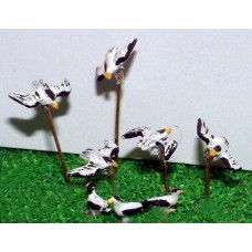 A65p Painted Assorted Seagulls x 8 N Scale 1:148