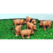 A69p Painted 6 x Pigs N Scale 1:148