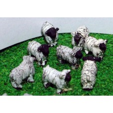 A70p Painted Sheep 8off N Scale 1:148