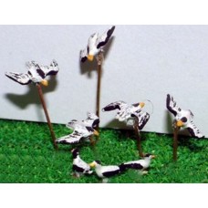 F143a Small Seashore Turns & Blackhead Gulls Unpainted Kit OO Scale 1:76