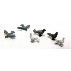 F148p Painted 6 Doves & Pigeons OO Scale 1:76 Painted Model