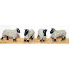 F58p Painted 4 Sheep OO Scale 1:76 Painted Model