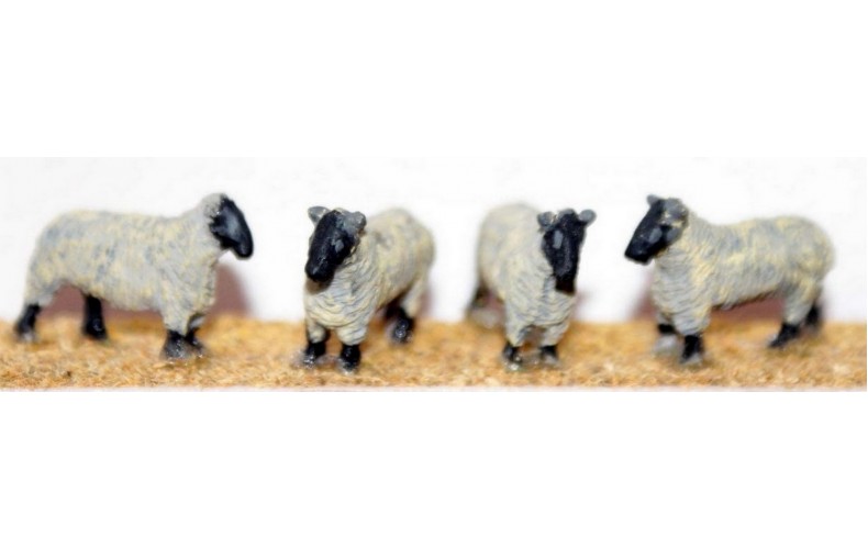 F58p Painted 4 Sheep OO Scale 1:76 Painted Model