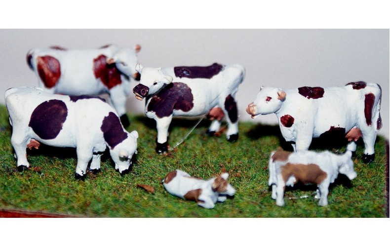 F68b 4 Dexter Cows (3/4 size) and 2 calves Unpainted Kit OO Scale 1:76