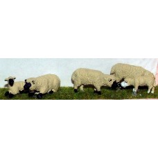 L20p Painted 3 Ass Sheep & 3 lambs O Scale 1:43