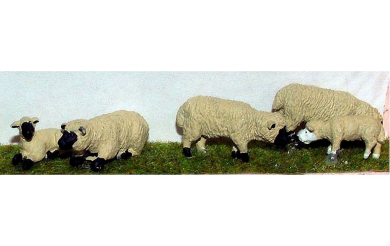 L20p Painted 3 Ass Sheep & 3 lambs O Scale 1:43