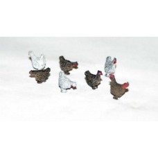 L48p Painted Chickens and Cockeral x 6off (O scale 1/43rd)