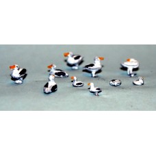 TT11 6 large 4 small standing Seagulls UNPAINTED TT Scale