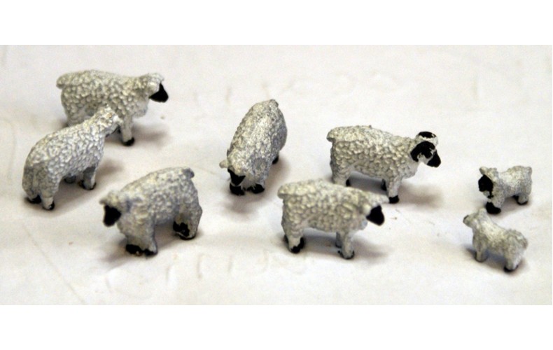 TT15 8 Sheep 3mm UNPAINTED TT Scale