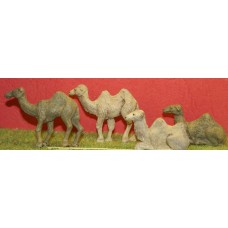 Z04 Camels sitting and standing (OOscale 1/76th)