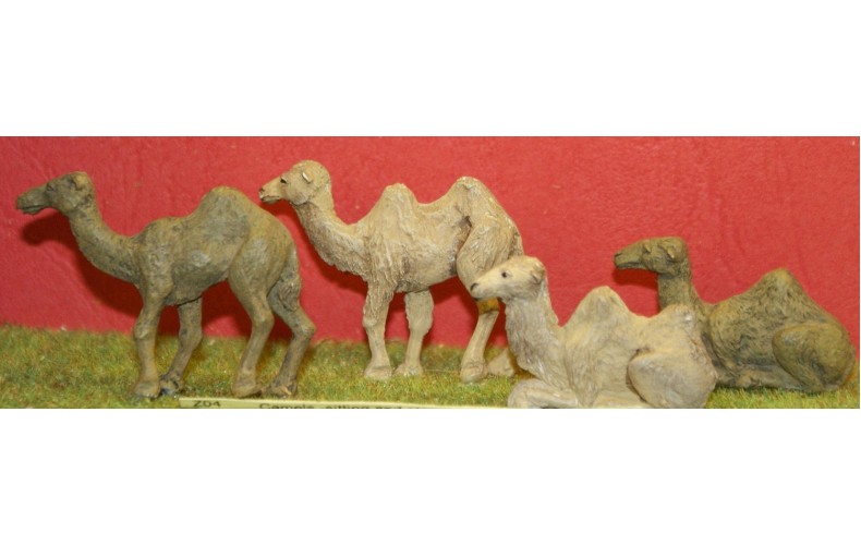 ZO4p Painted Assorted Camels OO scale 1/76th