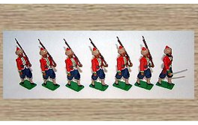 IA1 Queens Own Raiput Light Infantry